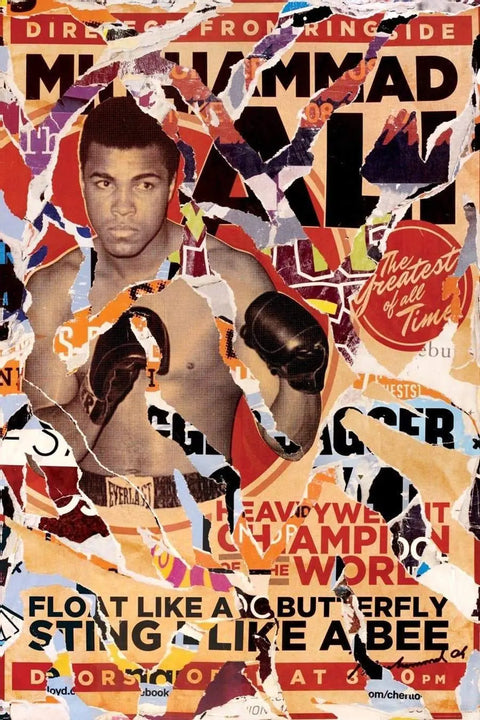 Collage-style poster featuring a boxer with gloves raised in a fighting stance.