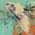 White bird with outstretched wings in mid-flight.