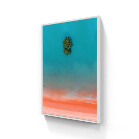 Framed aerial landscape art.