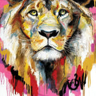 Colorful, abstract-style painting of a lion’s face with piercing yellow eyes.