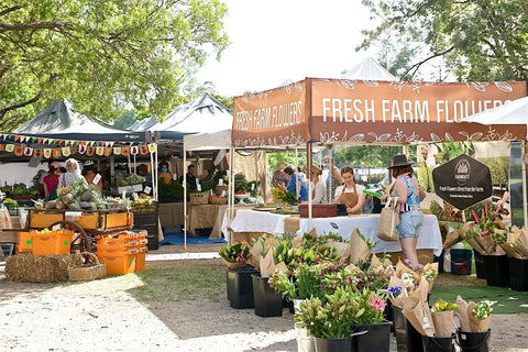 Orange banner with white text reading ’fresh farm flowers’ and a logo for ’aromate’.