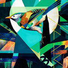 Colorful, stylized bird with geometric patterns and vibrant plumage.