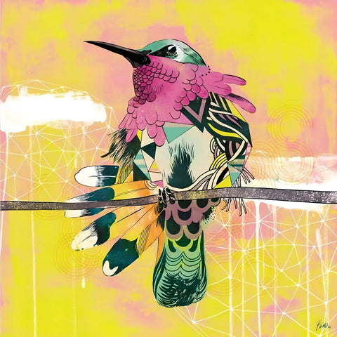 Colorful, stylized hummingbird with patterned feathers perched on a branch.