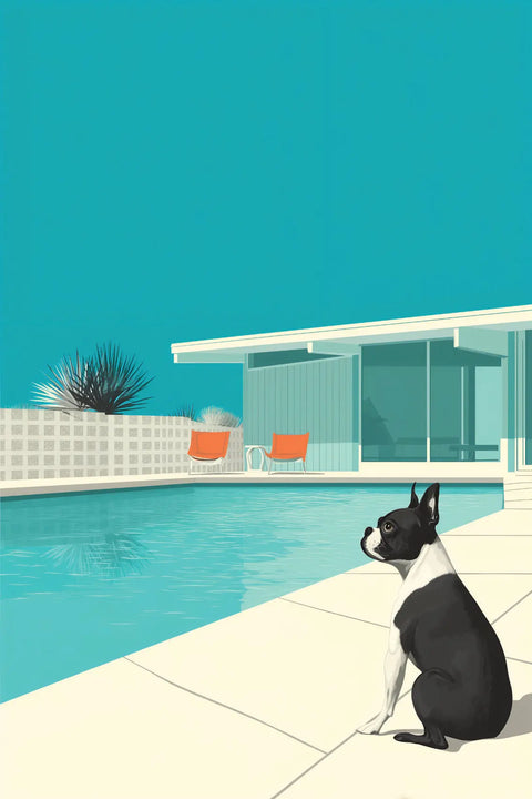 Boston terrier sitting poolside.